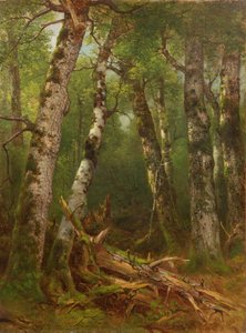 Puuryhmä, 1855-77